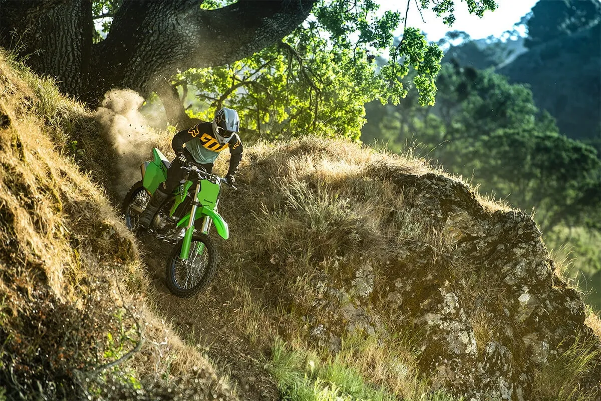 KAWASAKI KLX300R (2020-Present)