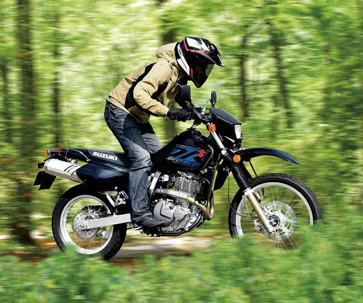 Suzuki DR 650S