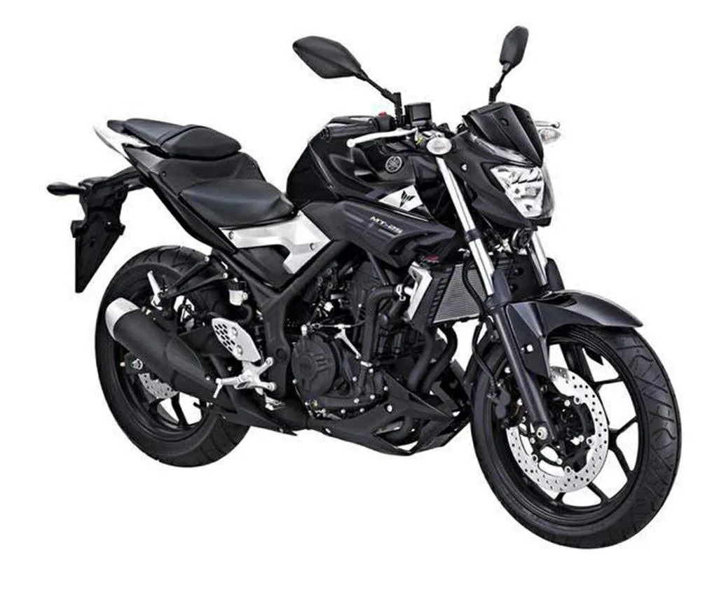Yamaha MT 25