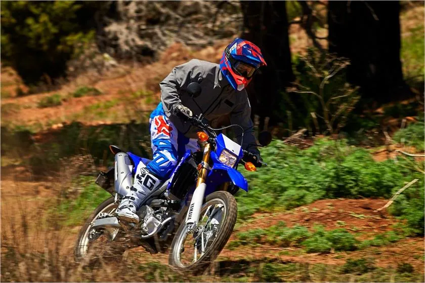 YAMAHA WR250R (2017-Present)