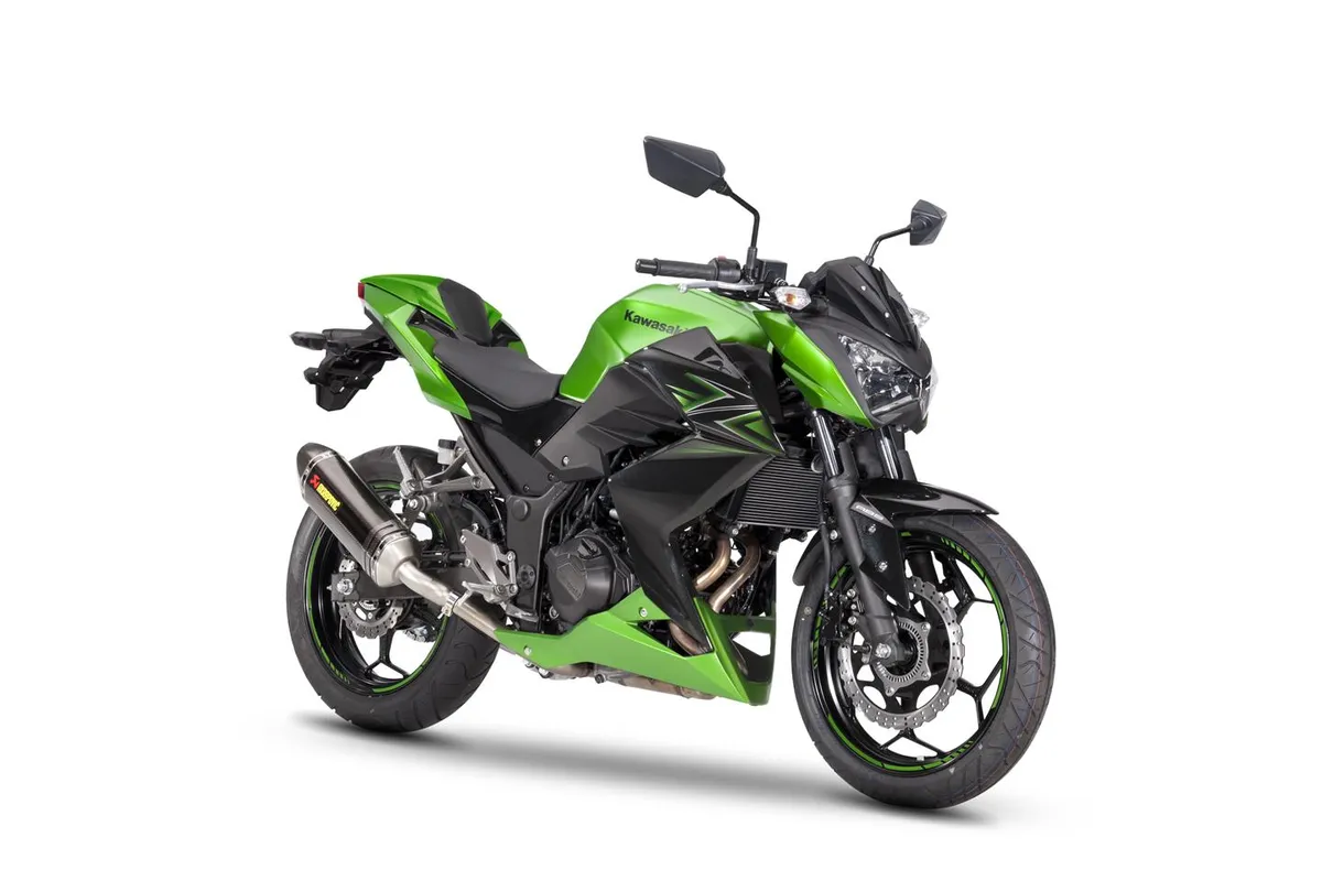 KAWASAKI Z300 Performance (2016-Present)