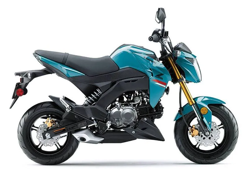 Kawasaki Z125 Pro 2021