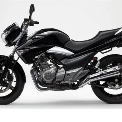 Suzuki GW250 2013