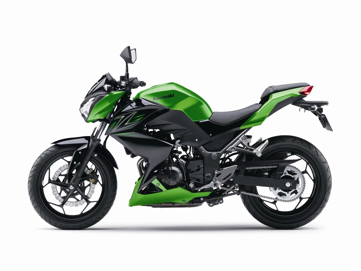 KAWASAKI Z300 Performance (2016-Present)