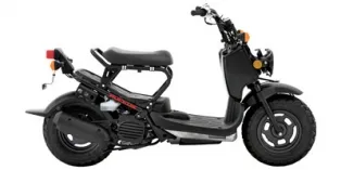 Honda Ruckus 2015