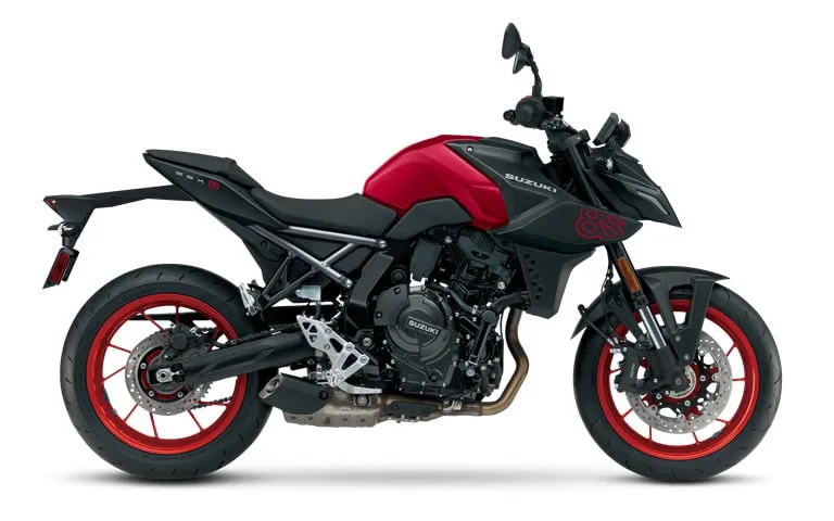 SUZUKI GSX-8S (2023-Present)
