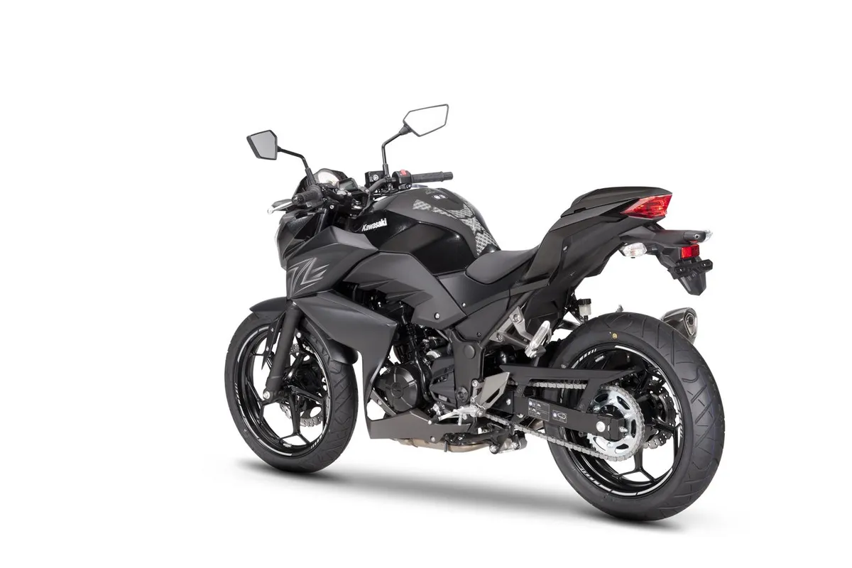 KAWASAKI Z300 Performance (2016-Present)