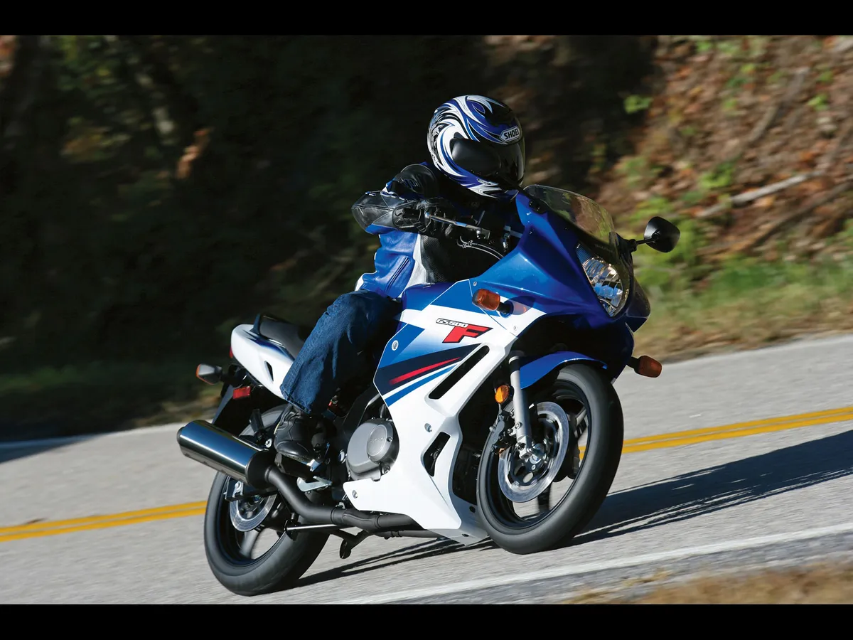SUZUKI GS500F (2009-2010)