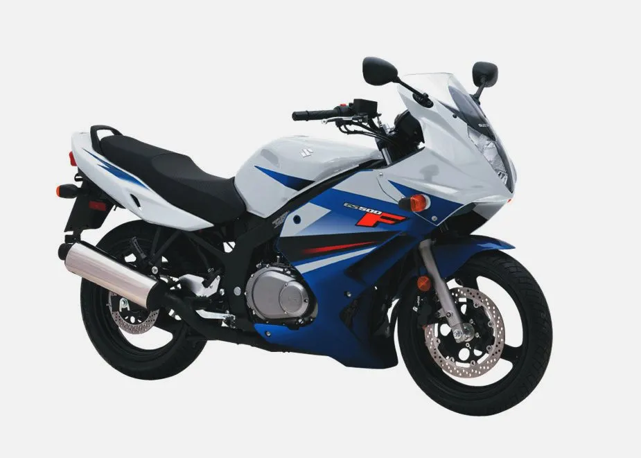 SUZUKI GS500F (2009-2010)