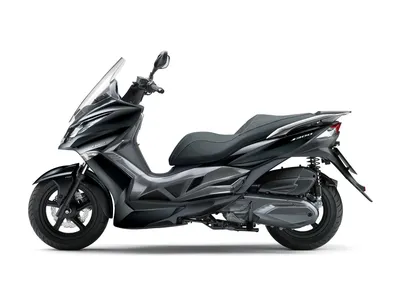 Kawasaki J 300