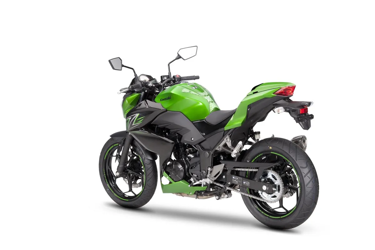 KAWASAKI Z300 Performance (2016-Present)