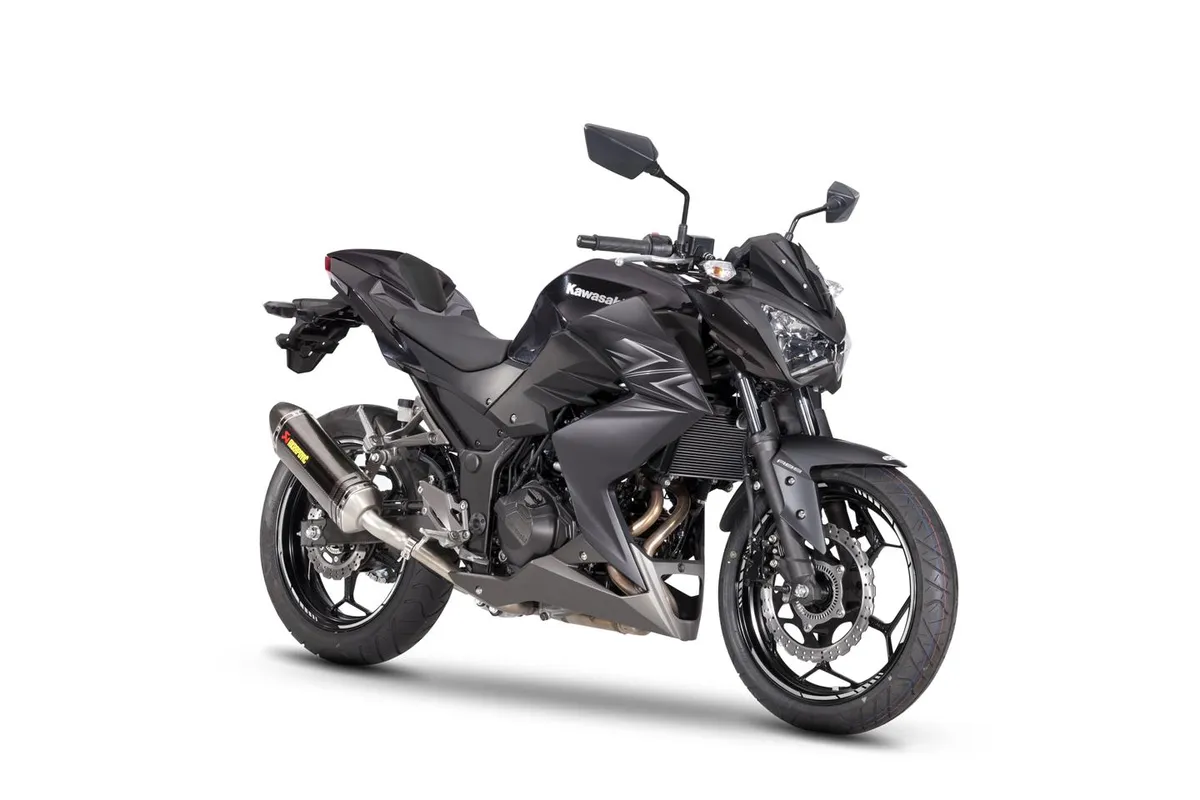 KAWASAKI Z300 Performance (2016-Present)
