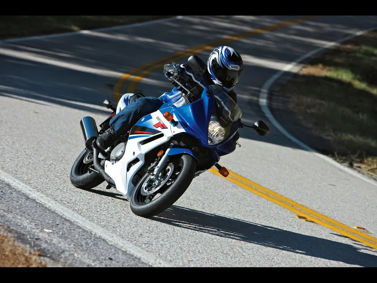 SUZUKI GS500F (2009-2010)